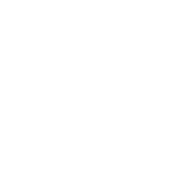 Vive Sur